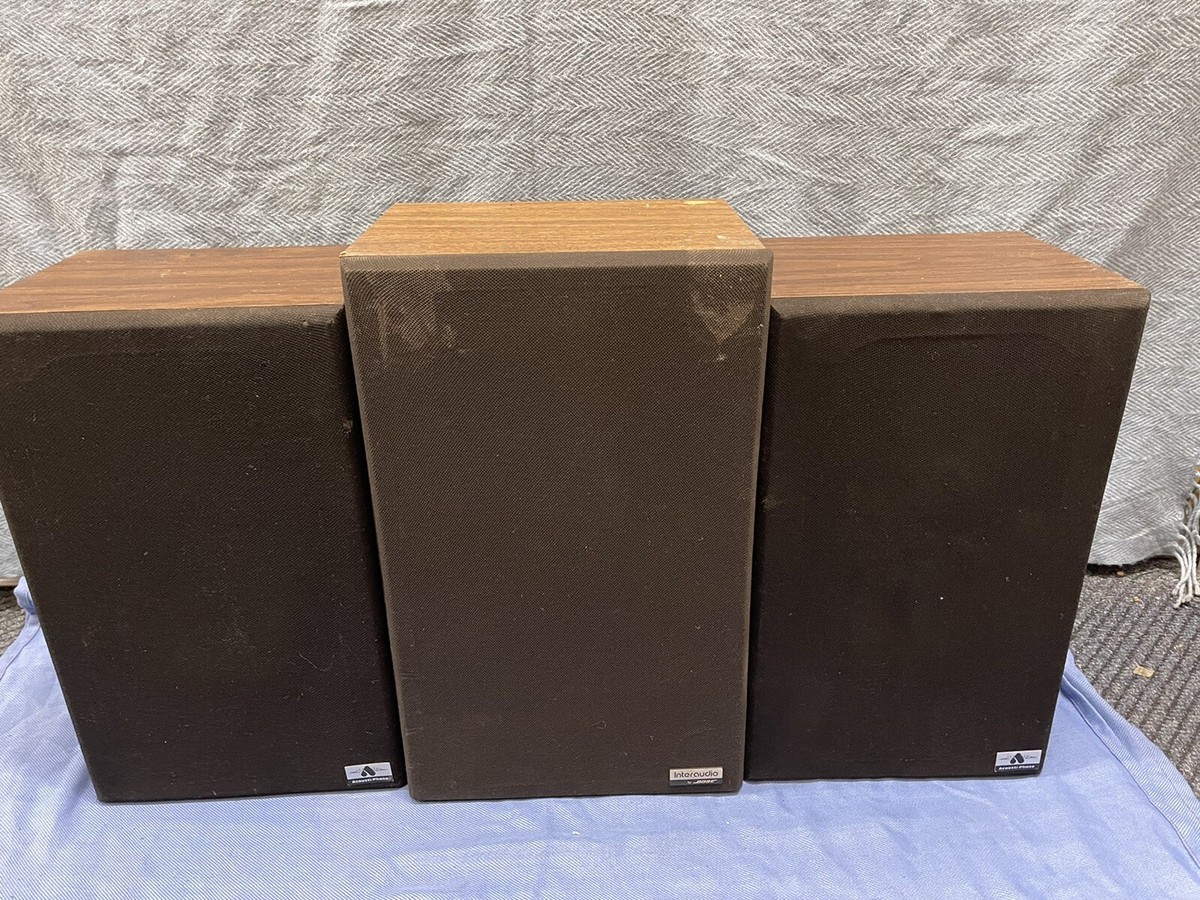 1 Bose Interaudio SA 300 Speakers 2 Acousti Phase Bose Is Damaged