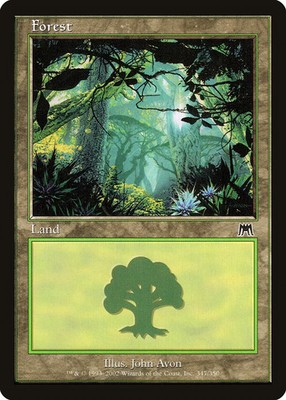Forest (347) Onslaught NM Basic Land MAGIC THE GATHERING MTG CARD