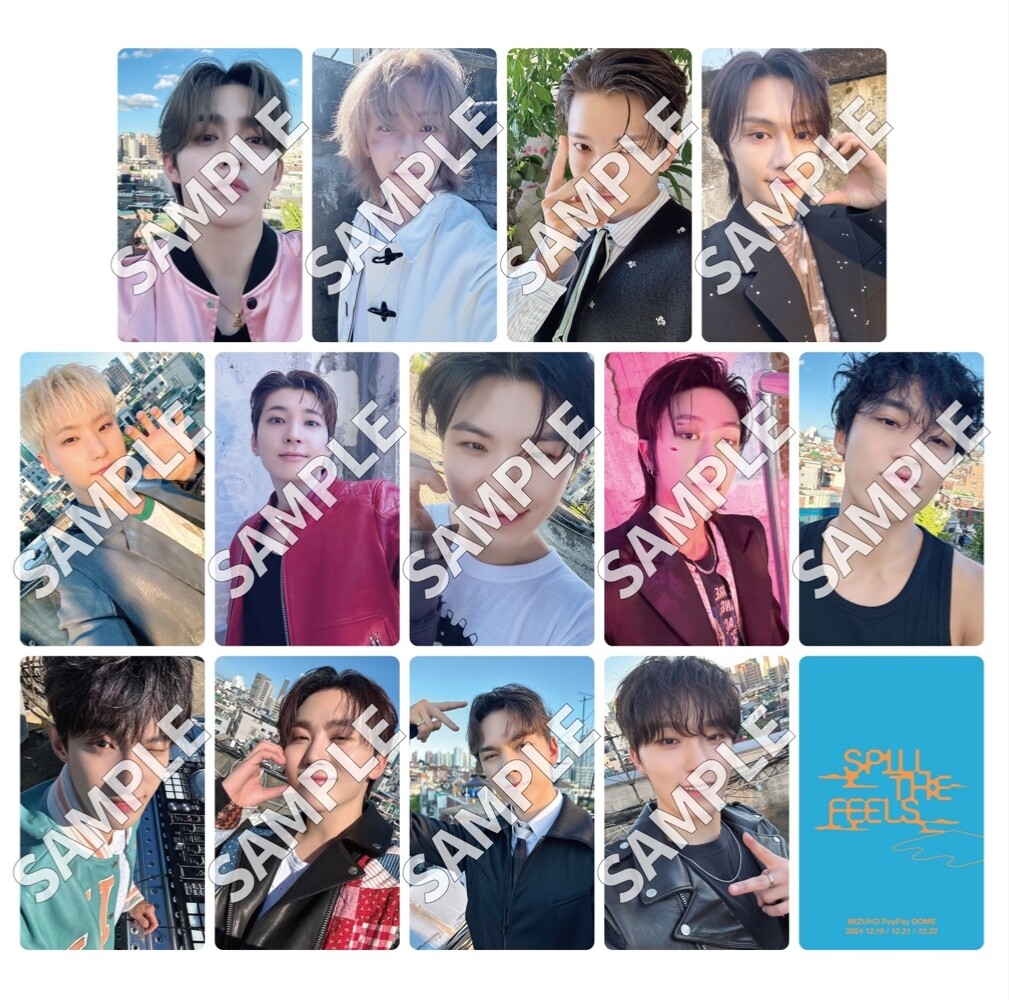 SEVENTEEN RIGHT HERE Spill the feels SHOHIKIGEN Venue limited