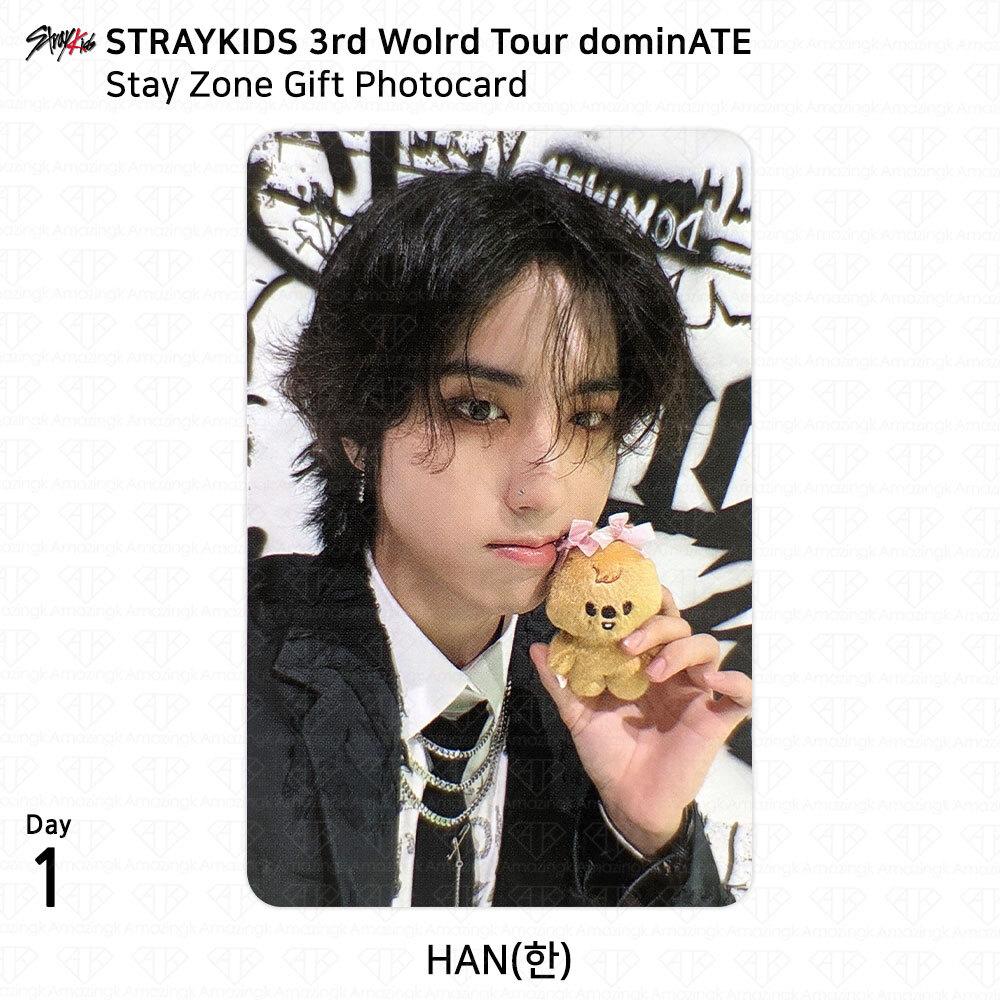 Stray Kids スキズ チャンビン ペンミ stay zone トレカ Stray Kids