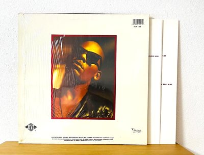 R. Kelly / 12 Play 1993 EU Original 2LP Vinyl Jive Records HIP 144