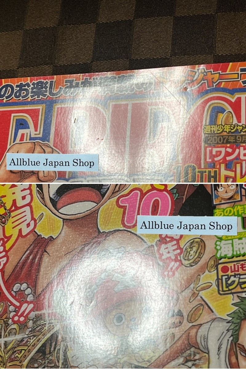 ONE PIECE 10th Treasures Book 10th Anniversary Book w / appendix