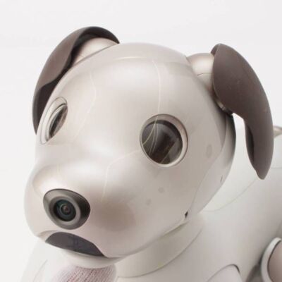 Sony AIBO ERS-1000 White Entertainment Robot Dog accessories w/Box