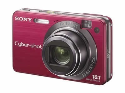 Sony Cyber-shot DSC-W170 10.1MP Digital Camera - Red (with MS Pro