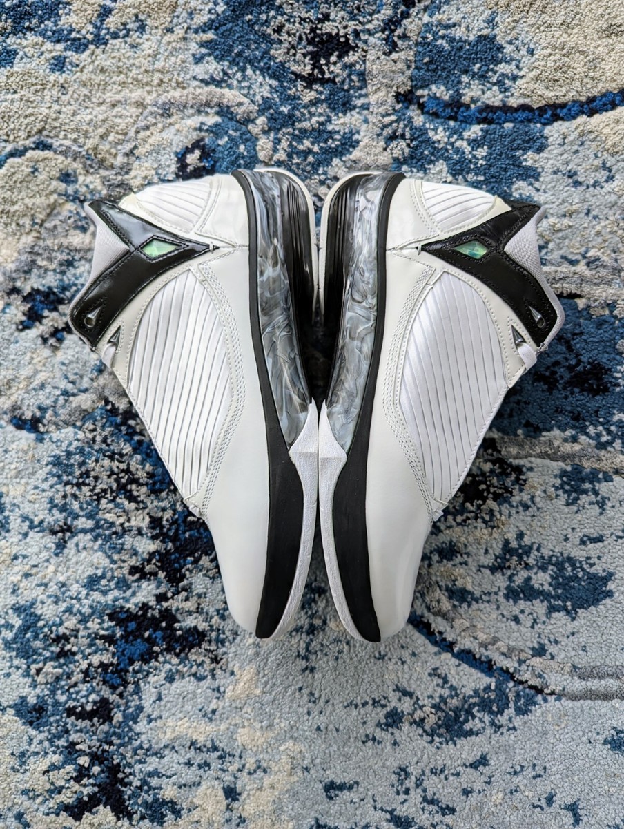 Nike Air Jordan 2009 XX4 White Metallic Silver 343084-161