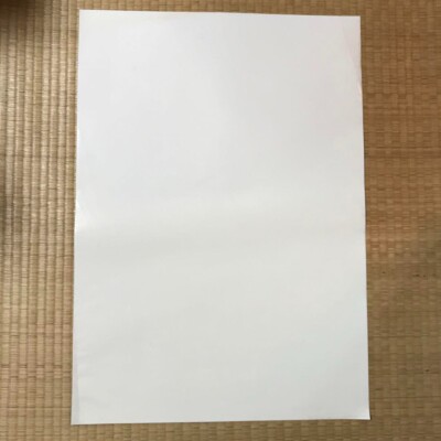 Motley Crue / New Tattoo 2000 Japan Original Promo Poster B2