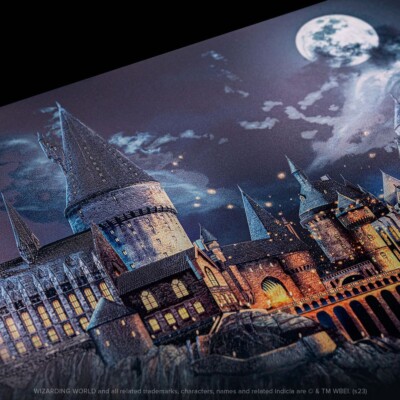 Displate Limited Edition Metal Poster -Back to Hogwarts (Harry