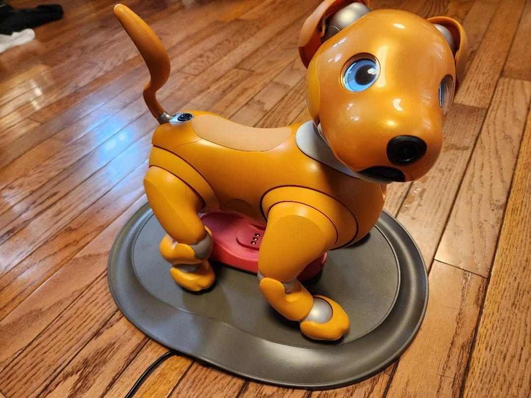 aibo ERS-1000/D/M/S オレンジ 専用ケース おまけ付き aibo ERS-1000/D