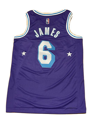 Nike LeBron James #6 LA Lakers City Edition Swingman Jersey Purple