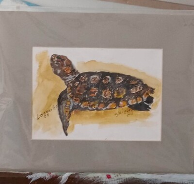 ART, Loggerhead Turtle, ORIGINAL, Offered by the Artist 10X8