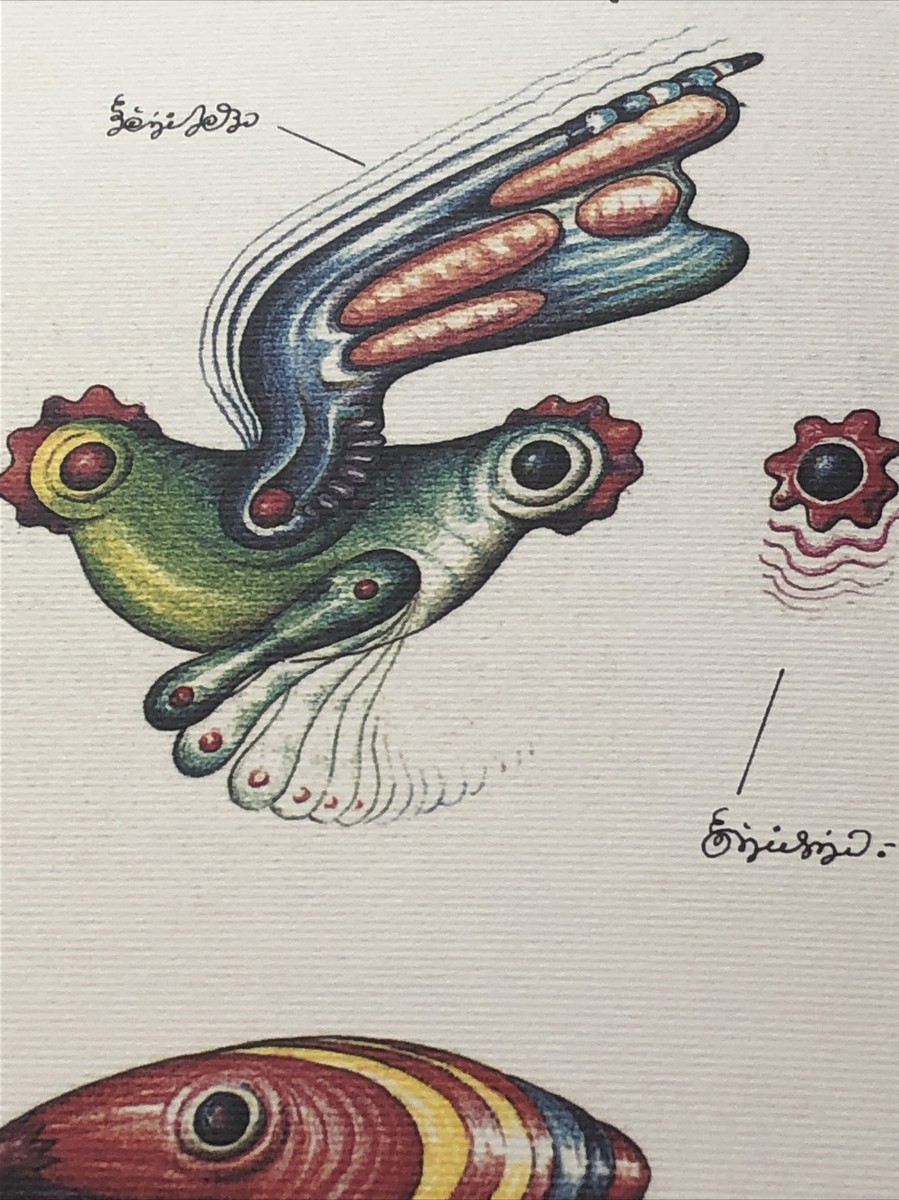 Luigi Serafini Codex Seraphinianus Print 89A 13
