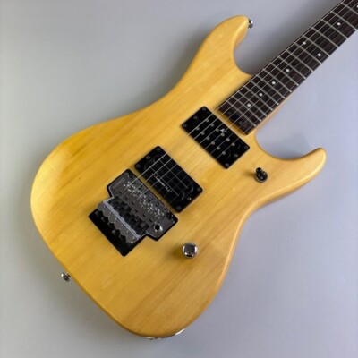 Washburn N2 w/soft case USED | eBay