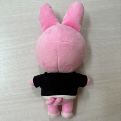 Stray Kids SKZOO Changbin DWAEKKI Plush Original Ver.OFFICIAL Used