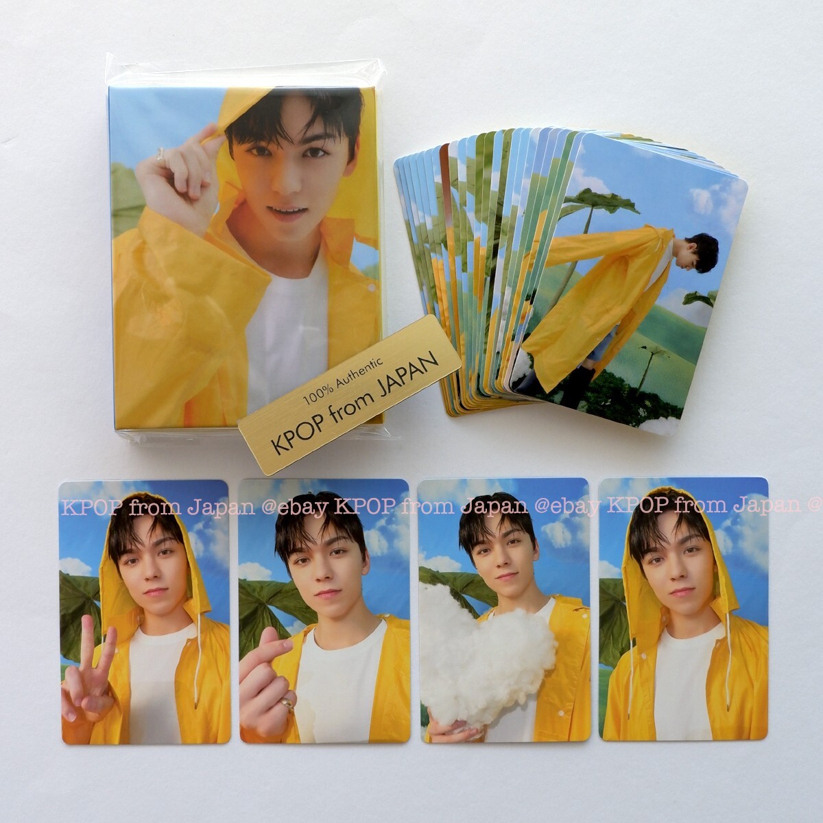 VERNON SEVENTEEN SEVENTEENTH HEAVEN CARAT ver. Complete Photocard