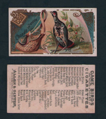 1889 Allen & Ginter - N13 Game Birds Tobacco Cards - U Pick | eBay