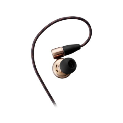 Victor JVC HA-FW10000 WOOD Series Canal Type Earphones, Black From