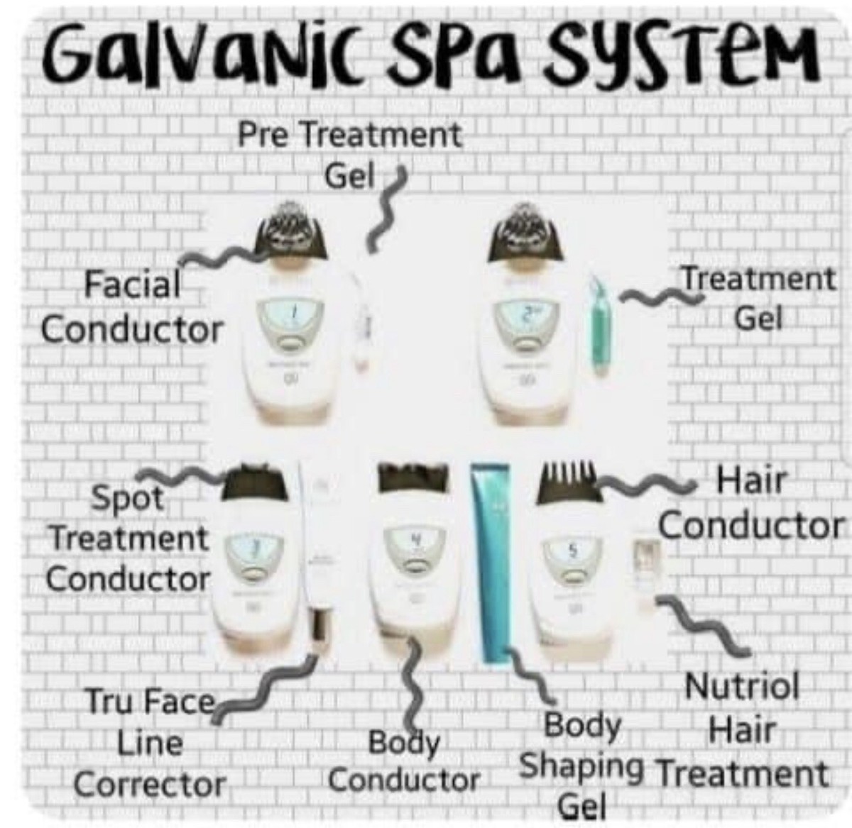ageLOC Galvanic Spa Nu Skin NuSkin Authentic Beauty Device Set | eBay