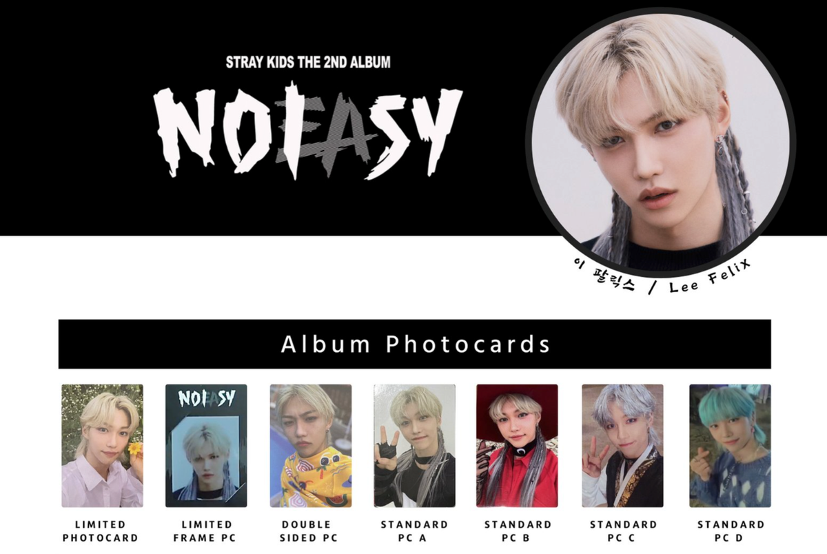 Stray kids Felix NOEASY NOISY Official Photo card PC photocard