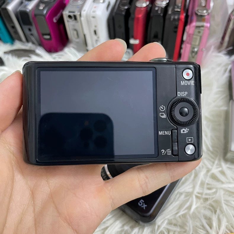 Sony Cyber-Shot DSC-WX220 18.2 MP Digital Camera 10X Optical Zoom