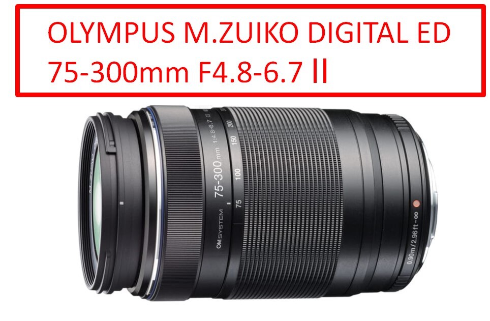 M.ZUIKO DIGITAL ED 75-300mm F4.8-6.7 II 【公式通販】