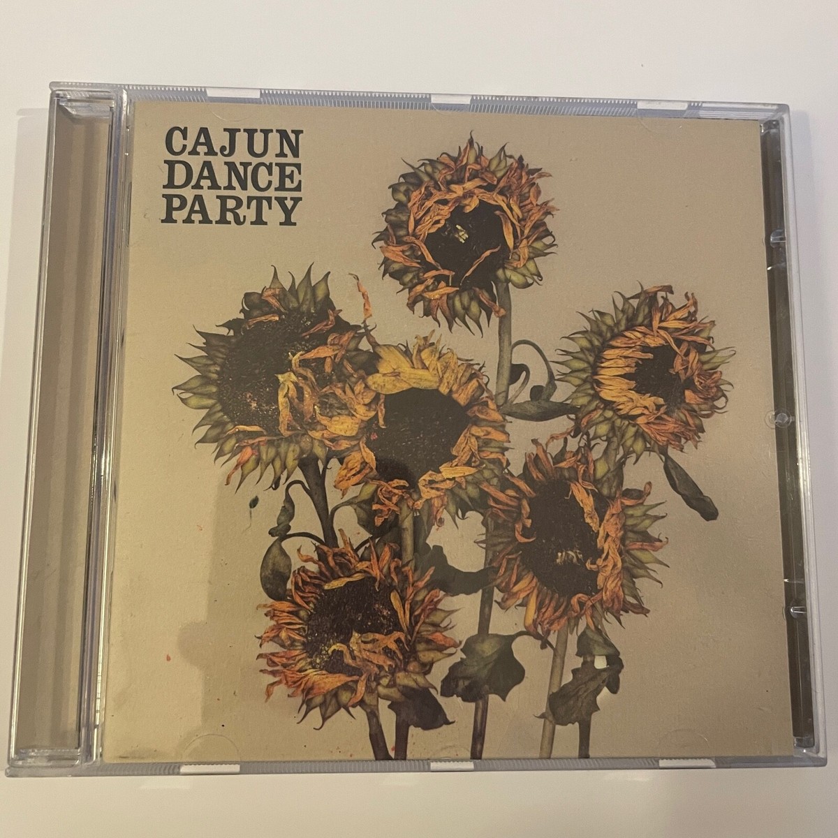Cajun Dance Party - Colourful Life (CD) VGC | eBay UK