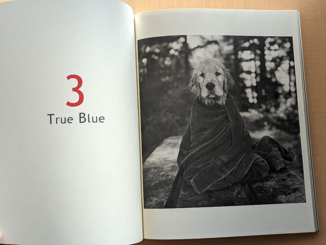 Rare] BRUCE WEBER Bruce Weber ALL-AMERICAN Photo Collection