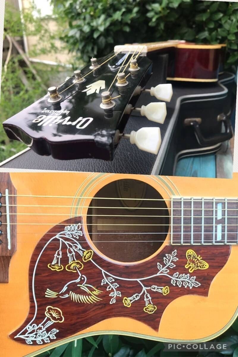 Orville by Gibson HB W/PU byギブソン Orville By Gibson Hb W/Pu