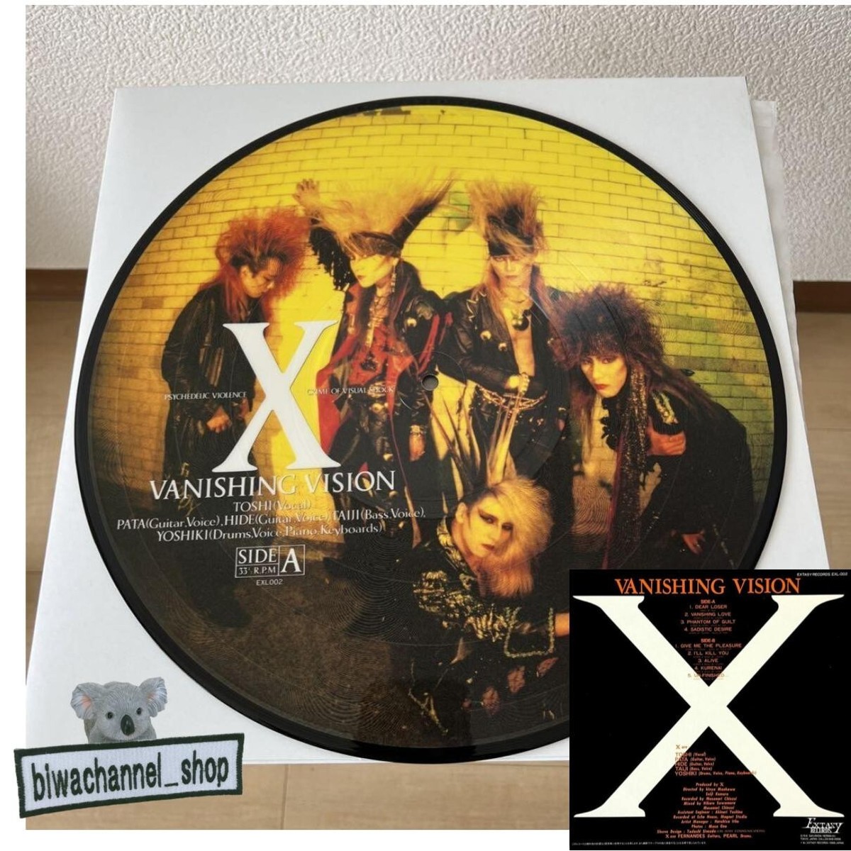 X Japan Vanishing Vision Picture Record LP Japan Record Vinyl
