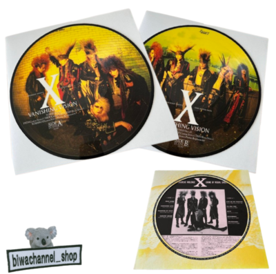 X Japan Vanishing Vision Picture Record LP Japan Record Vinyl