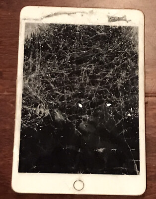 Apple iPad mini 4th Generation A1538 Wi-Fi 128gb Rose Gold Broken