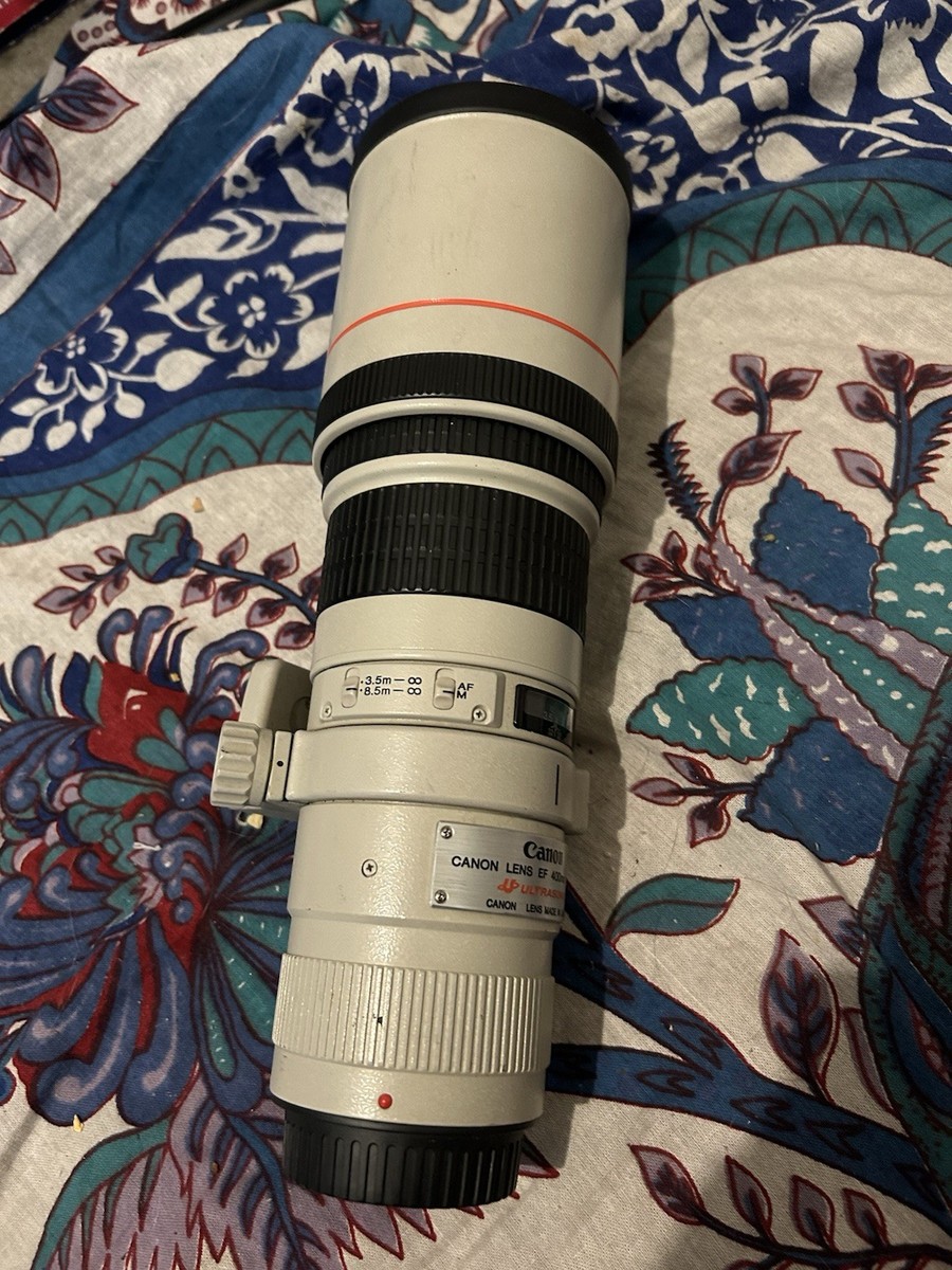 Canon EF 400mm f/5.6 L USM Lens for sale online | eBay