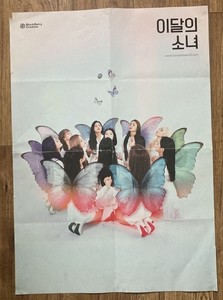 Loona Butterfly | eBay