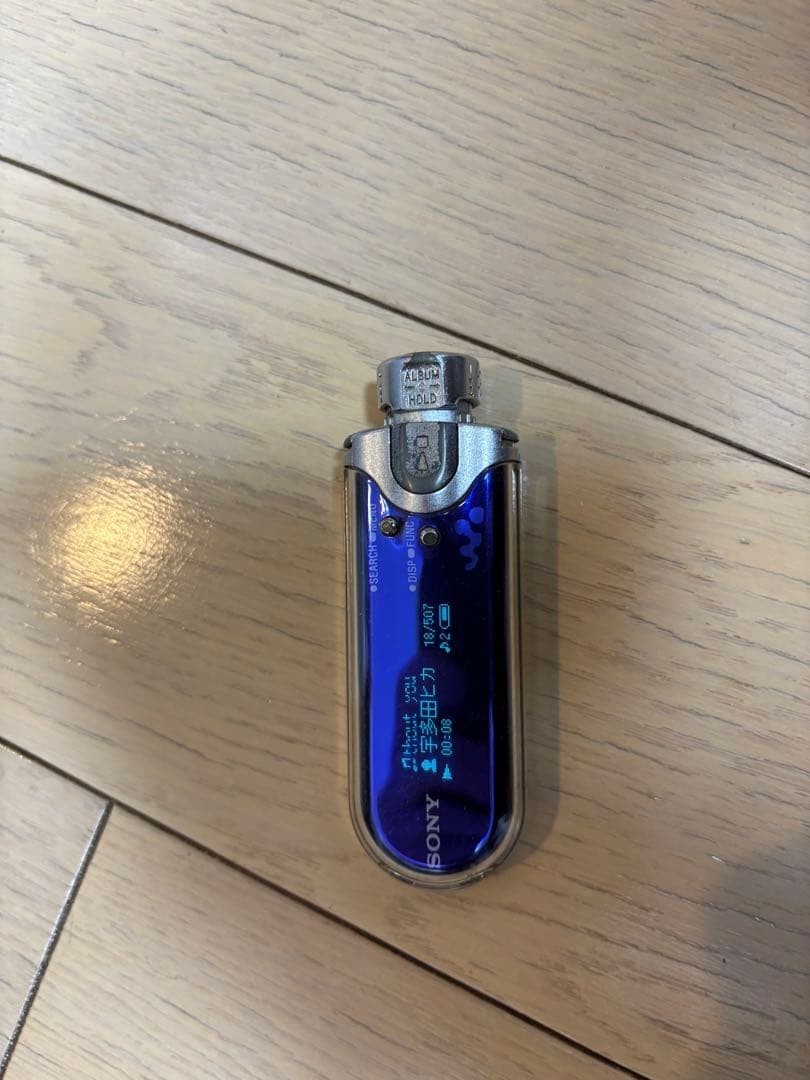 SONY Walkman NW-A608 blue 2GB Digital Audio Player Tested Working