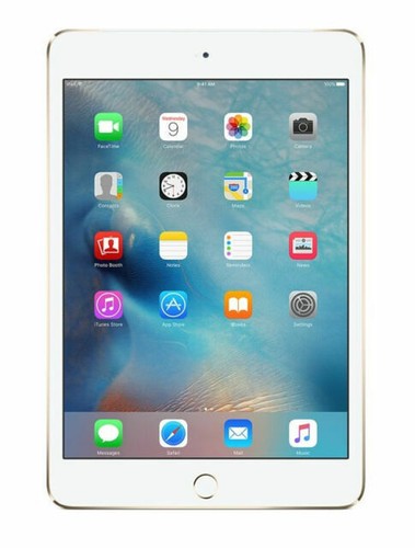 Apple iPad Mini 4 16GB 32GB 64GB 128GB All Colors WiFi or Cellular