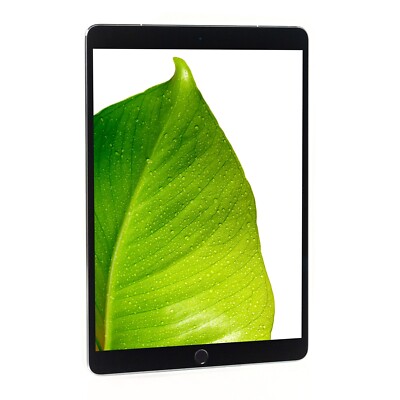Apple iPad Pro Space Gray 10.5