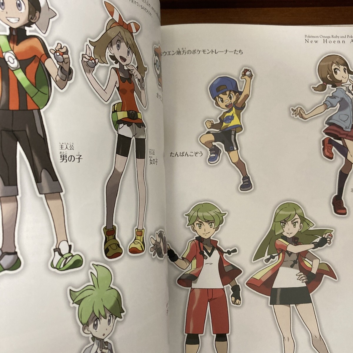 Pokemon Omega Ruby and Pokemon Alpha Sapphire New Hoenn ART Book