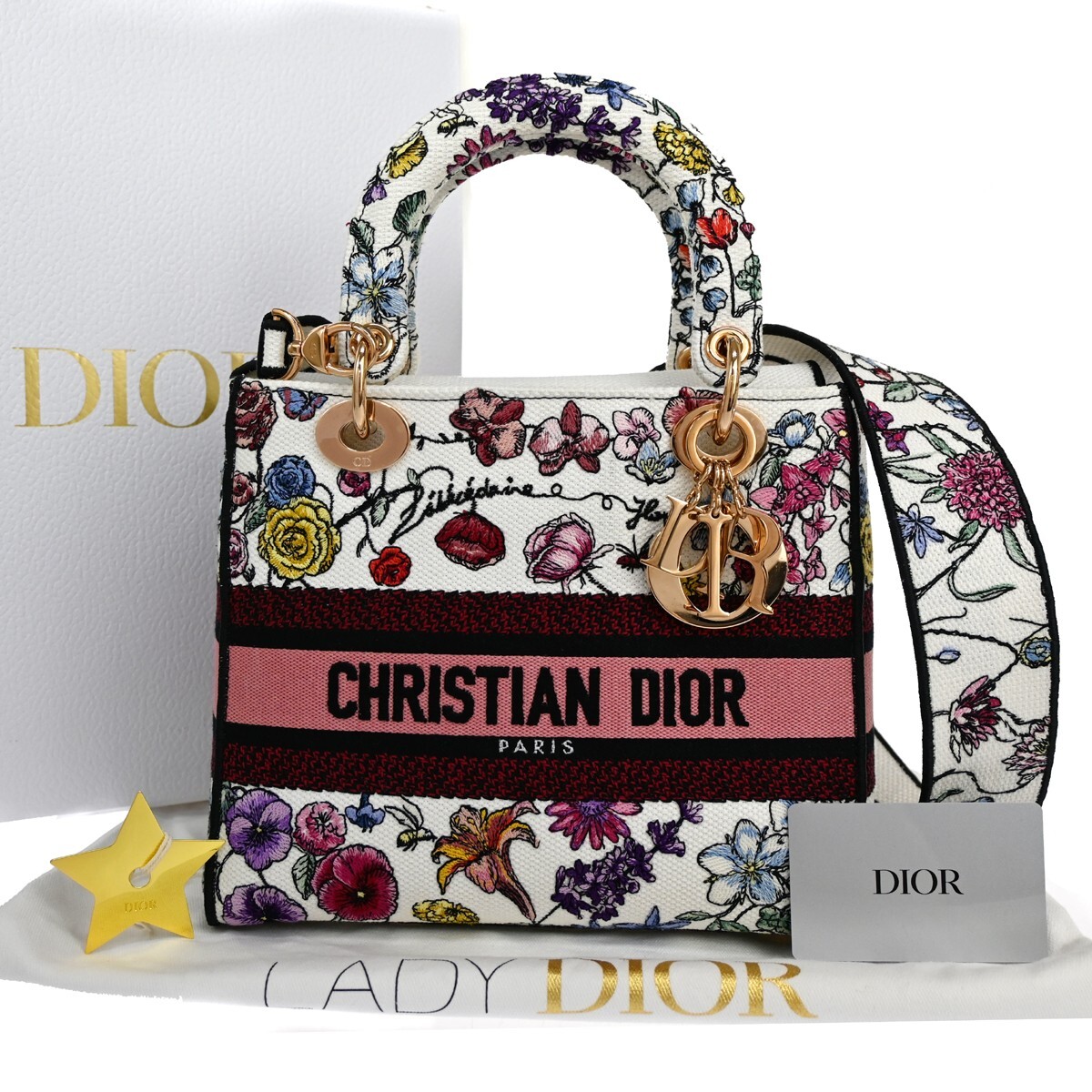 CHRISTIAN DIOR Lady D-Lite Florilegio Embroidery 2Way Hand Bag