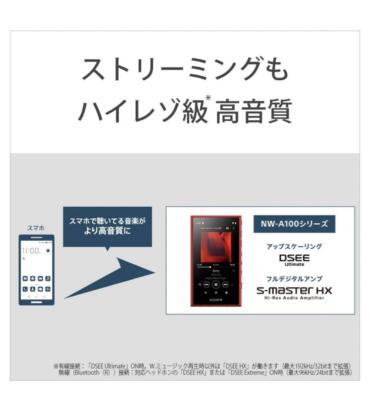 WALKMAN SONY WALKMAN NW-A100 SERIES | eBay