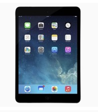 Apple iPad mini 1st Gen. 16GB, Wi-Fi, 7.9in - Black & Slate (AU