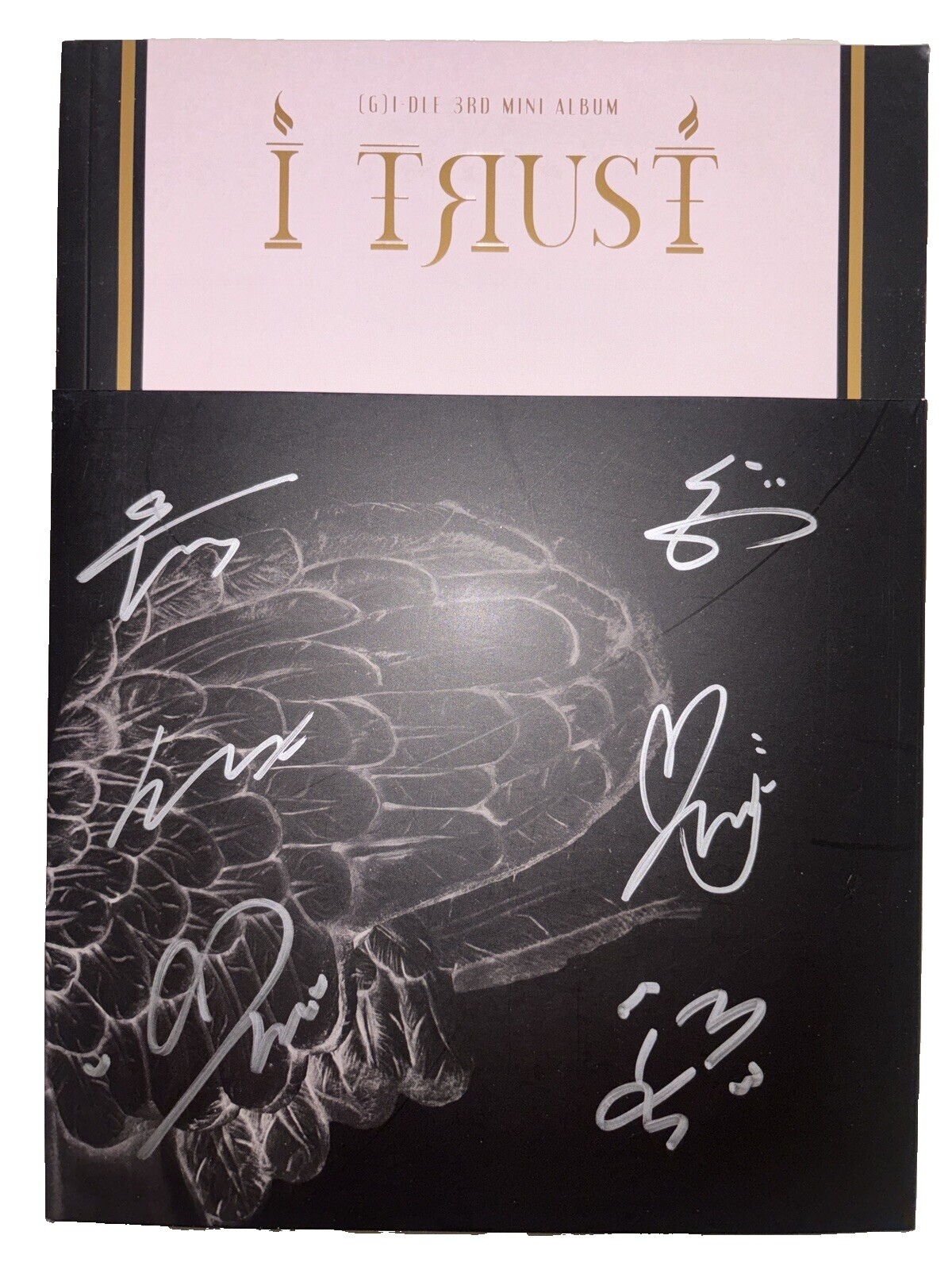 I Trust Gidle | eBay