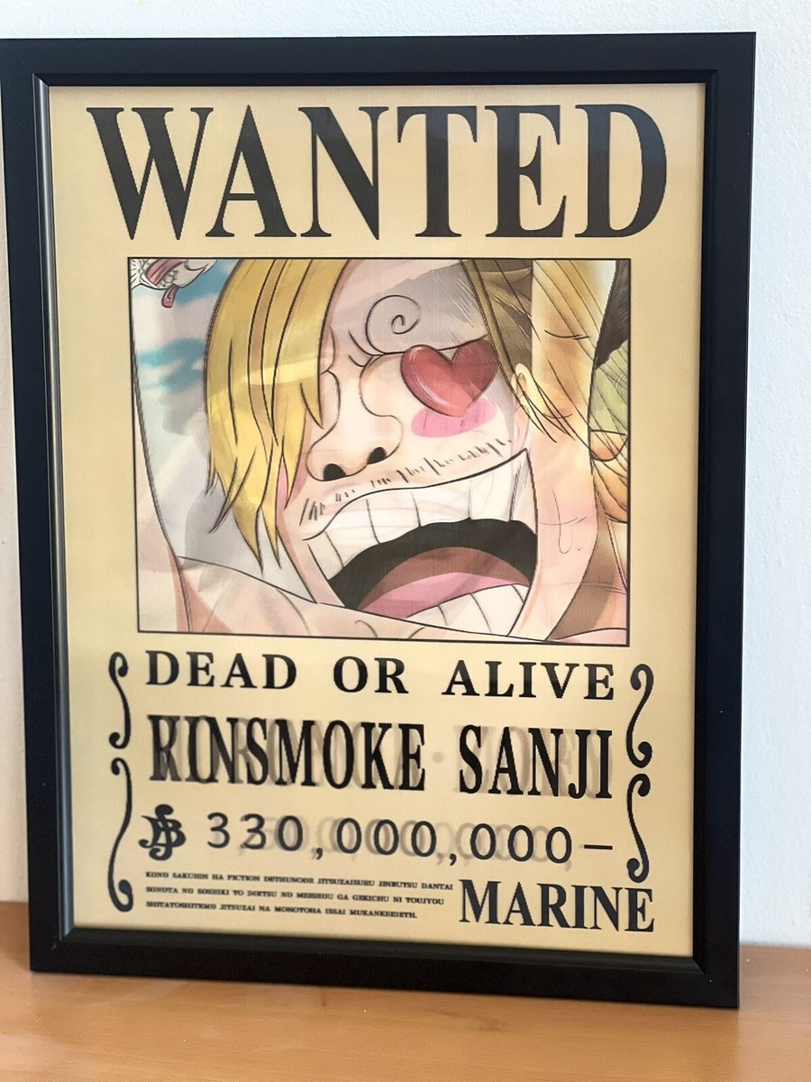 One Piece Image Changing 3D Holographic Lenticular Poster （Not