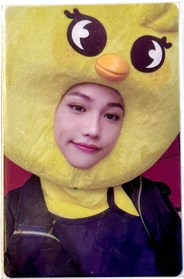 Stray Kids Felix MAXIDENT JYP shop POB SKZOO Official Photocard pc