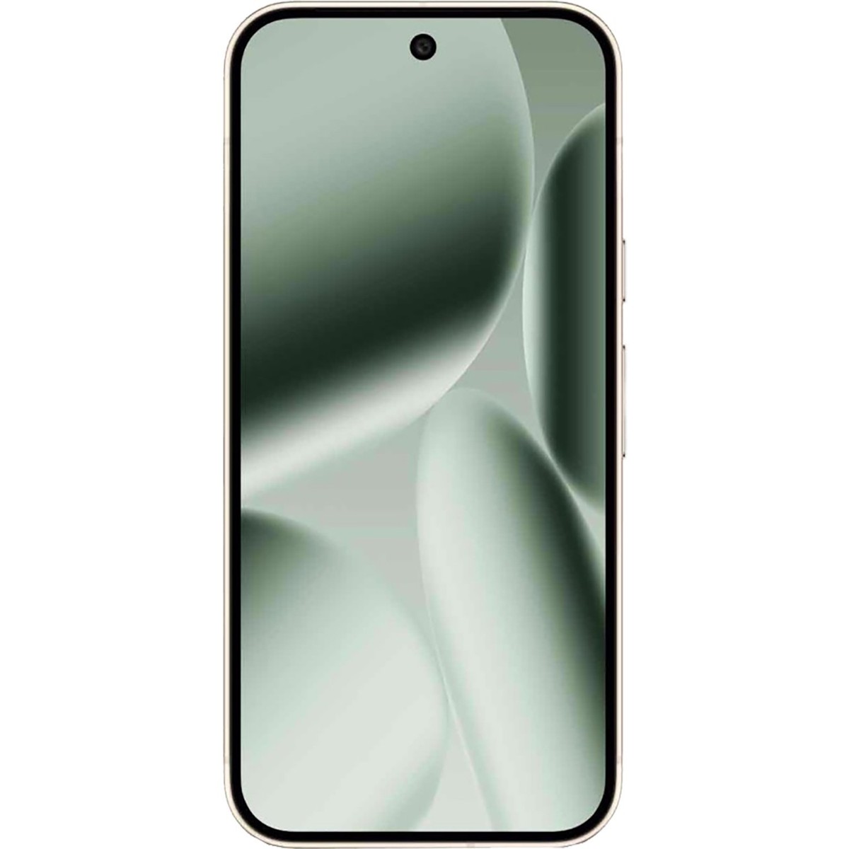 Google Pixel 10 Pro XL 5G Jade 256GB + 16GB Dual-SIM Unlocked NEW