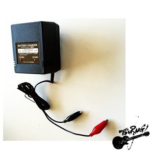 Daiwa Tough Battery 12000 [4] | eBay