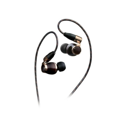 Victor JVC HA-FW10000 WOOD Series Canal Type Earphones, Black From