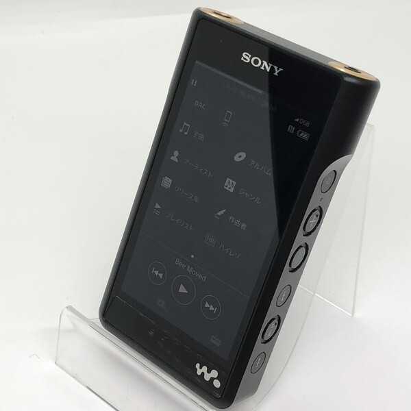 SONY NW-WM1A Black WM1 Series Walkman Digital Audio Player | eBay