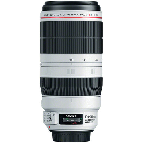 Canon EF 100-400mm f/4.5-5.6L IS II USM Lens - White for sale
