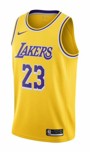 NEW Nike Dri FIT NBA Jersey LA Lakers Lebron 6 Mens 2022/23 DN2009