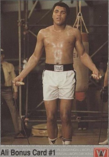 MUHAMMAD ALI - Joe Louis - Sugar Ray - Boxing 1991 AW Sports Cklst