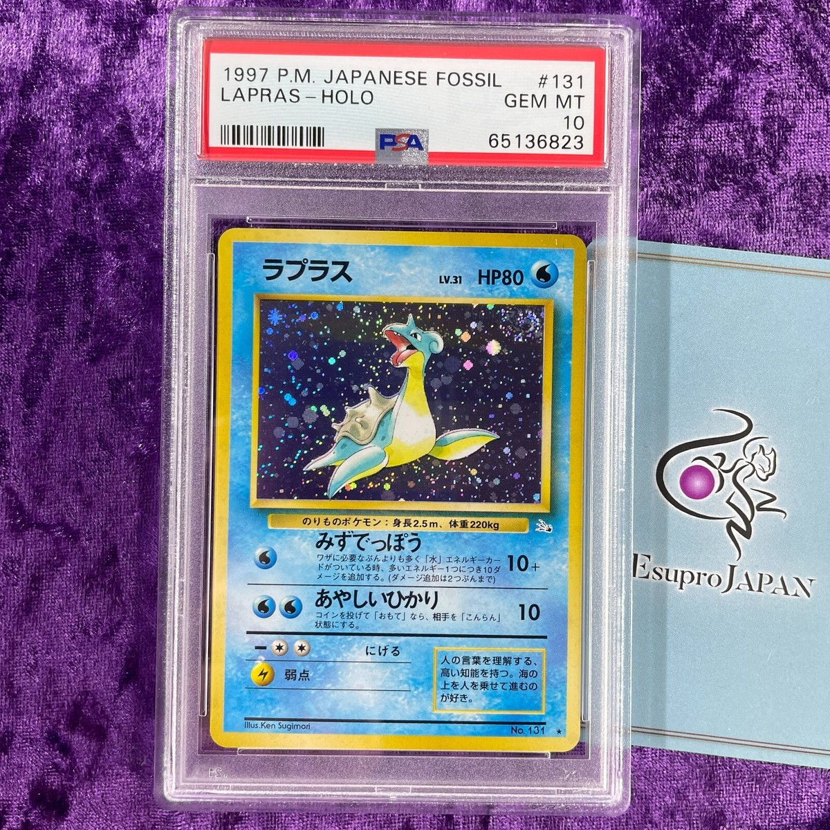 世界376枚 PSA10 プテラ 旧裏 1997 142 5 プテラ R 旧裏 PMCG3 No.142
